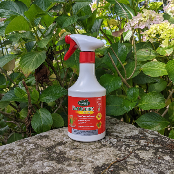 Ravene Emouchine Total Spray