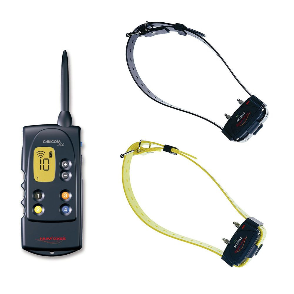 Numaxes CANICOM 1500 - Colliers Dressage 2 Chiens (1500m)