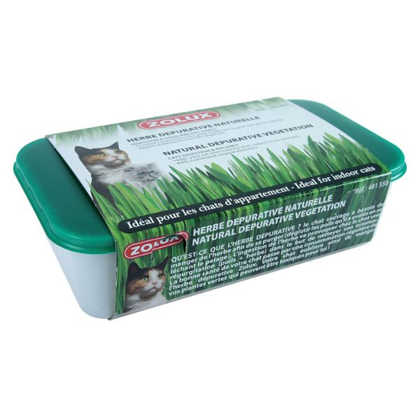 Zolux Herbe à Chat Naturelle