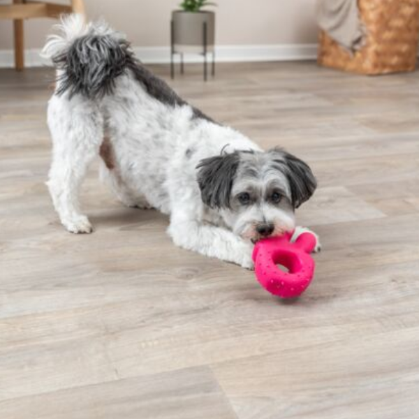 Trixie Jouet Signe De Main de la Paix pour Chien