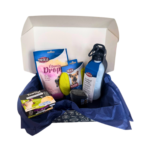 companibox pour chien version été