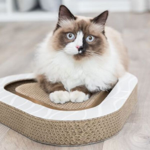 Trixie Plateau Griffoir pour Chat