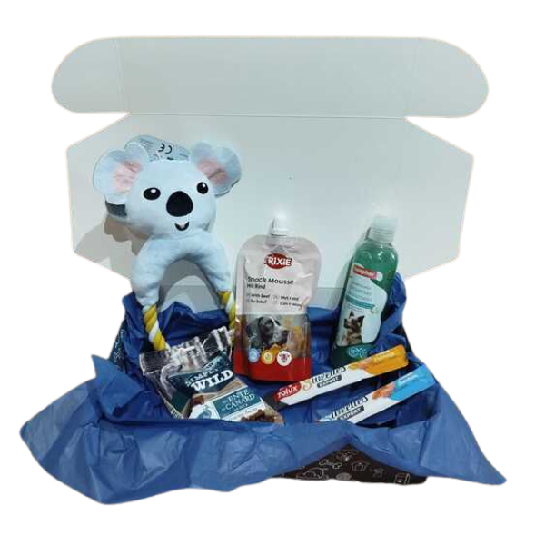 CompaniBox pour Chien M - Hiver