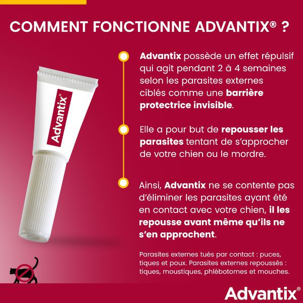 Advantix Très Grand Chien (40-60 kg)