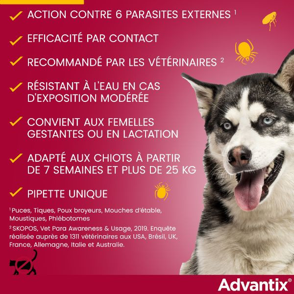 Advantix Grand Chien (25-40 kg)
