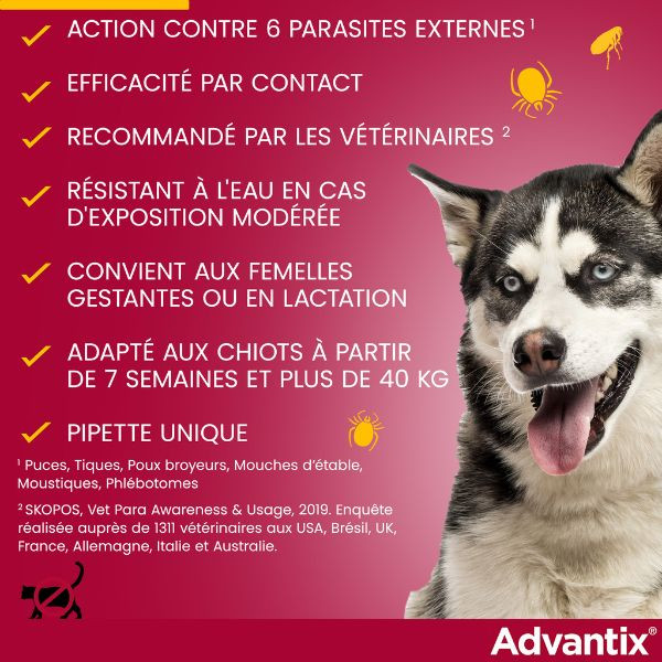 Advantix Très Grand Chien (40-60 kg)