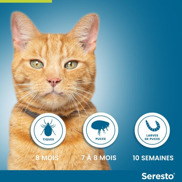 Seresto Anti-puce et Anti-tique pour Chat