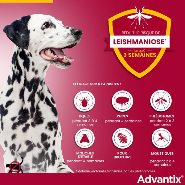 Advantix Très Grand Chien (40-60 kg)