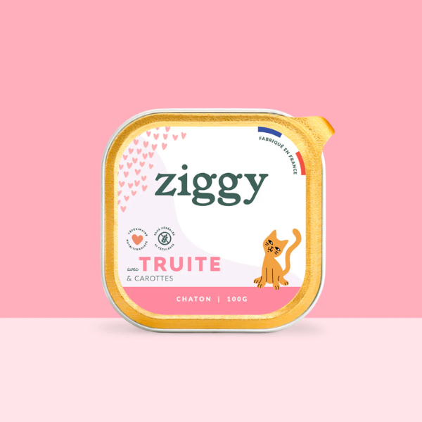 Ziggy Pâtée Chaton Truite - 4 x 100 g 