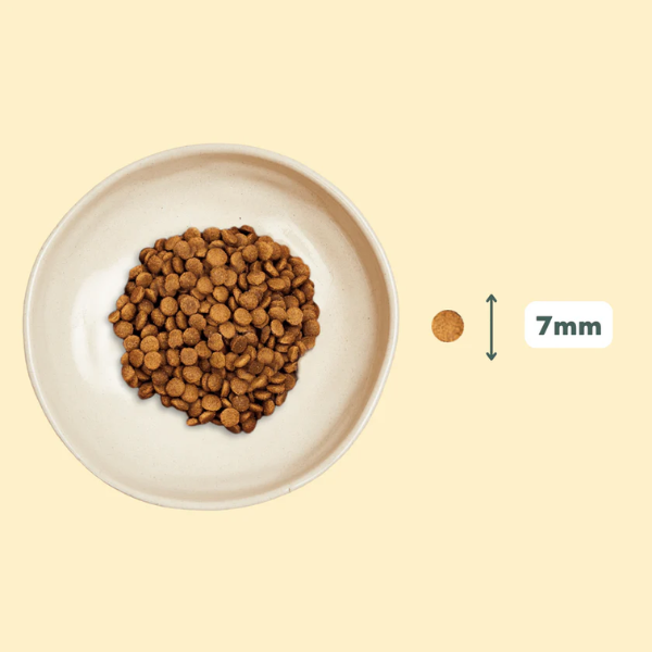 Ziggy Croquettes Chaton au Poulet