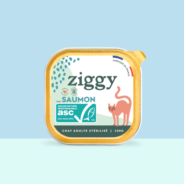 Ziggy Pâtées Chat Stérilisé au Saumon - 4 x 100 g