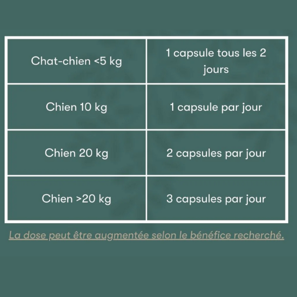 Element Vet Krill - 120 capsules