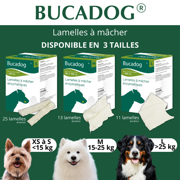 Bucadog Lamelles à Mâcher pour Chien