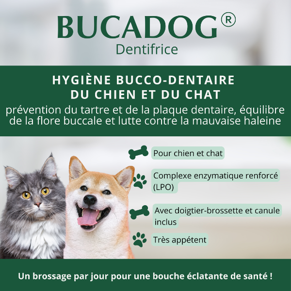Bucadog Dentifrice