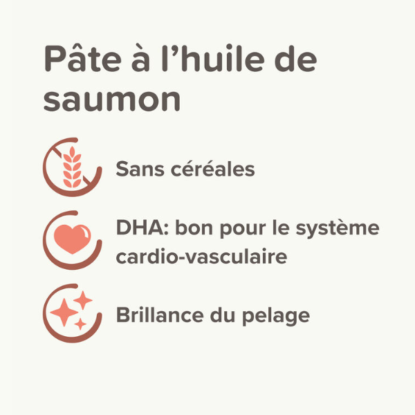 Beaphar Pâte au Saumon - 100 g