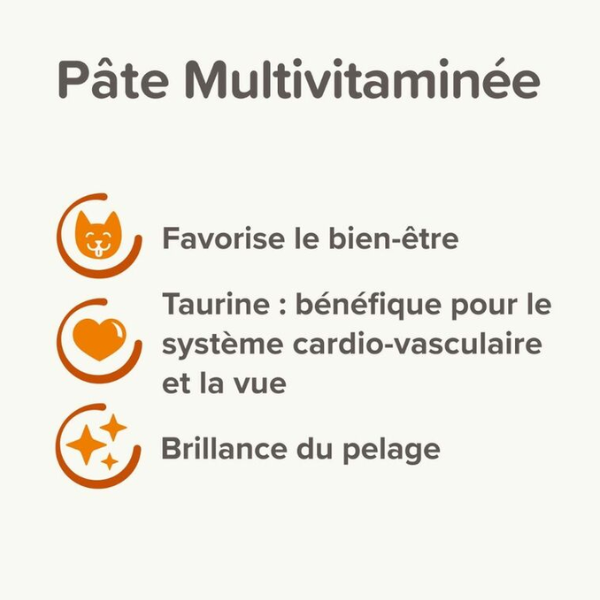 Beaphar Pâte Multi-Vitaminées - 100 g