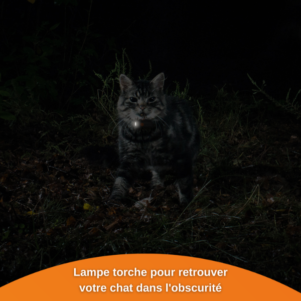 Weenect Cats 2 tracking