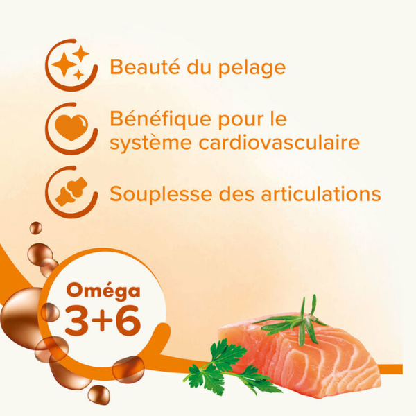 Beaphar Huile De Saumon pour Chien & Chat