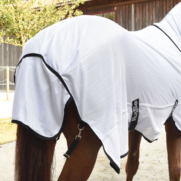 Couverture Anti-Mouche Cheval