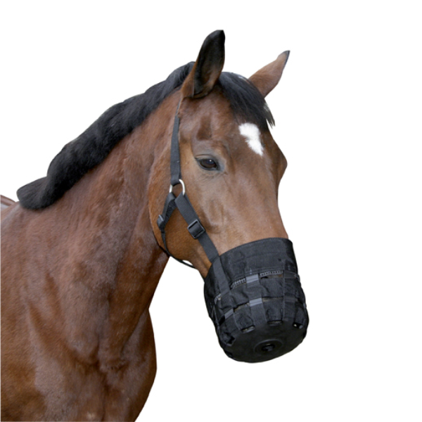 Muselière Cheval | Companimo
