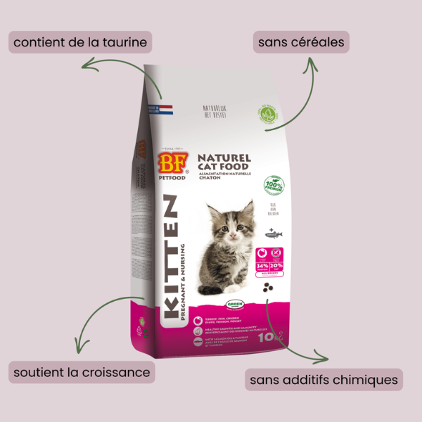 BF Petfood Croquettes Kitten - 1,5 Kg 