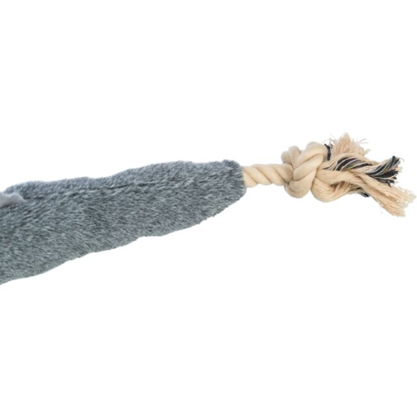 Trixie Anguille Karl 