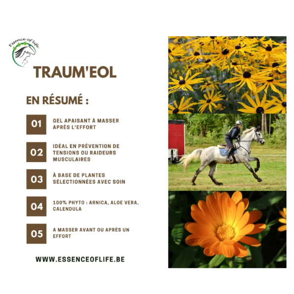 Traum'EOL Gel à l'Arnica - 500 ml