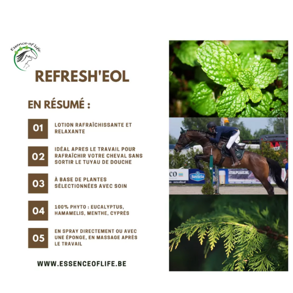 Refresh'EOL Cooling Lotion - 500 ml