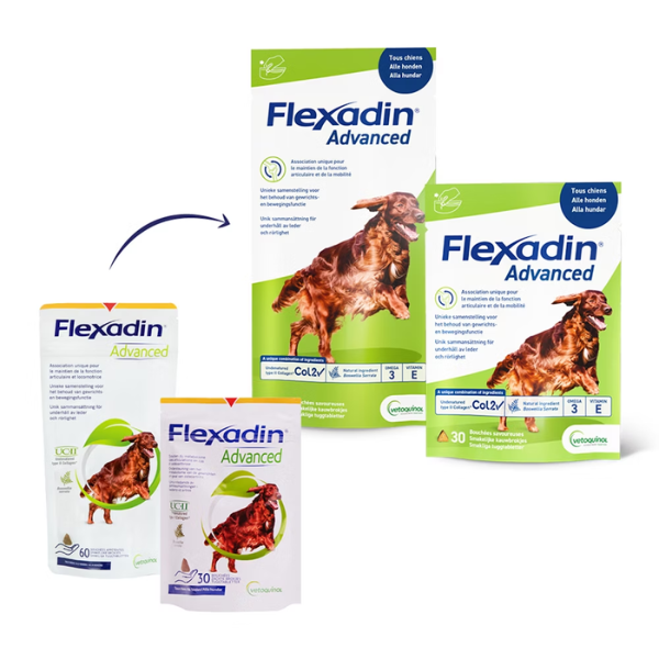 Flexadin Advanced pour Chien