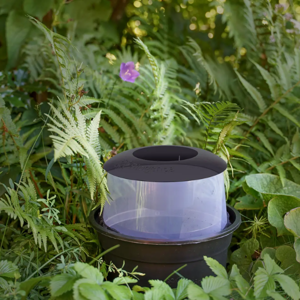 Biogents Piège d'Extérieur BG-GAT - Lot de 2