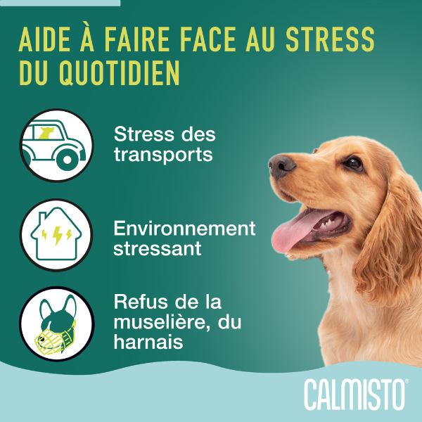 Calmisto chien diffuseur - 6 ml