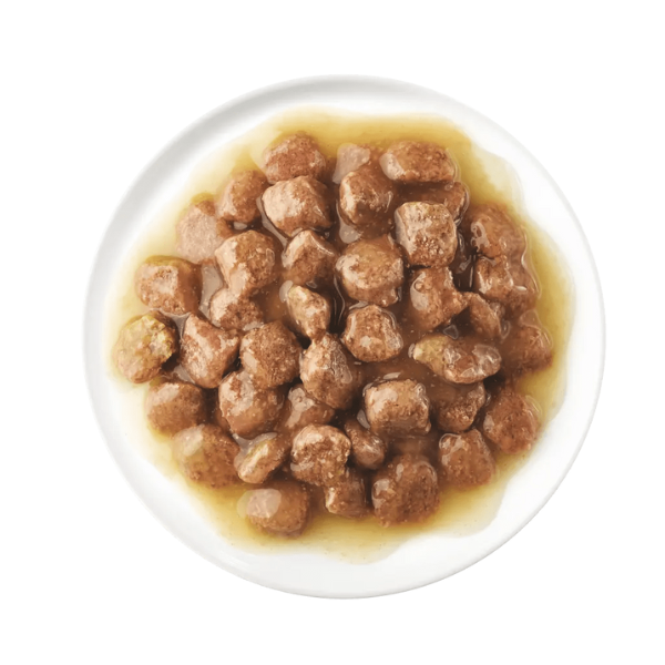 Advance Cat Kitten sachets