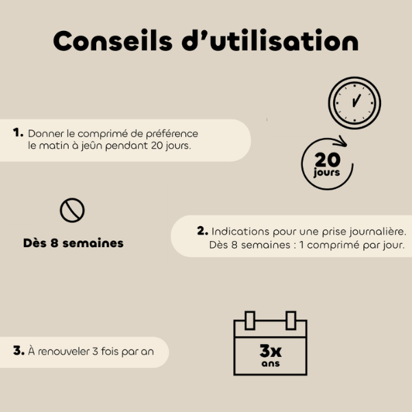 Biovetol Regul'transit Chien