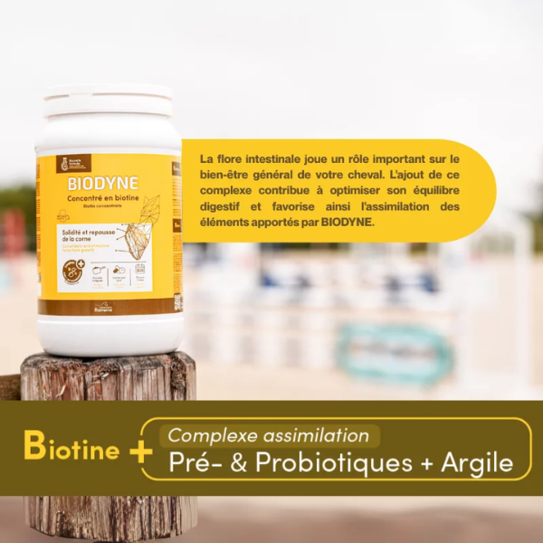 Ravene Biodyne - 1 Kg