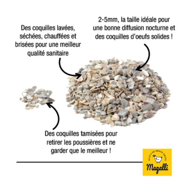 Magalli Coquilles marines enrichies en grit - 5 kg