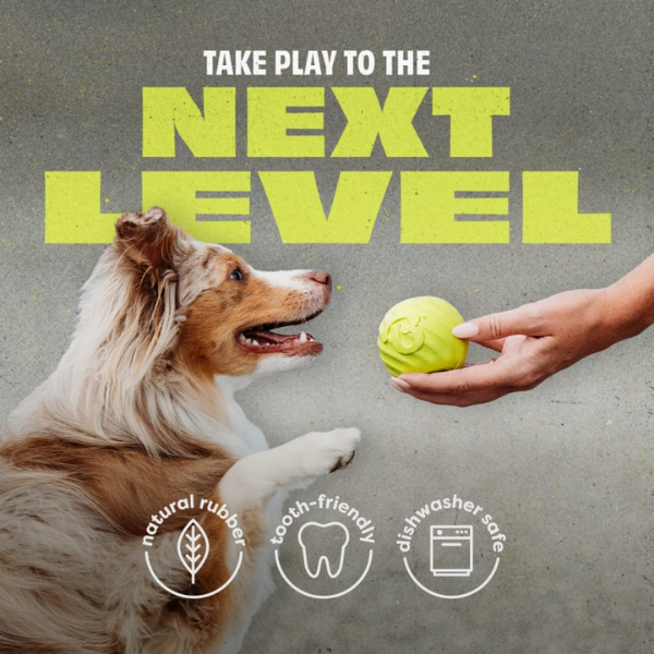 Benebone Bounce Ball