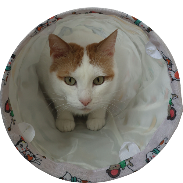 Zolux Tunnel Chatouille - 100 cm