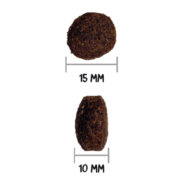 Ownat Classic Adulte Energy