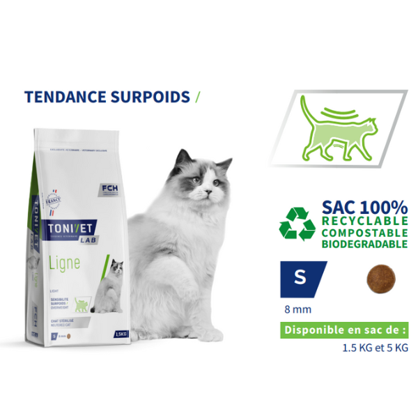 Tonivet Chat Adulte Ligne 