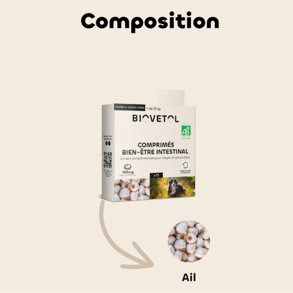 Biovetol Comprimés Bien-être Intestinal Moyen/Grand Chien - 15 cps