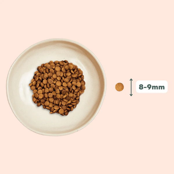 Ziggy Croquettes Chat Stérilisé au Poulet 