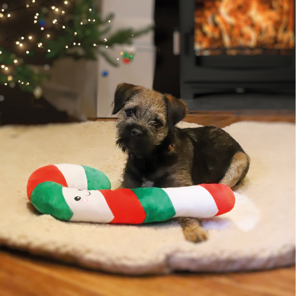 Peluche de Noël pour chien - Sucre d'orge