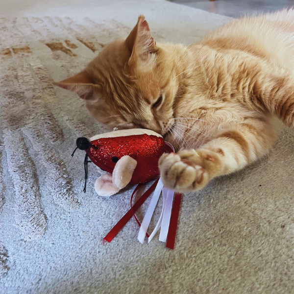 Jouet de Noël pour chat - Souris 