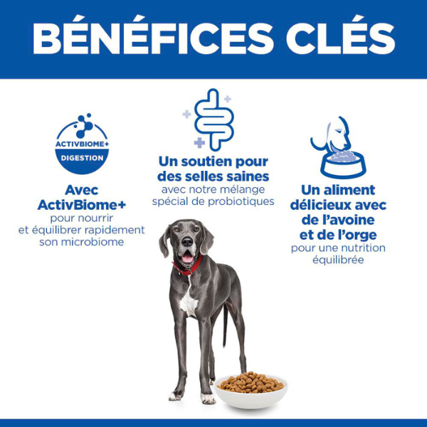 Hill's Science Plan Canine Perfect Digestion Large Breed - 14 kg