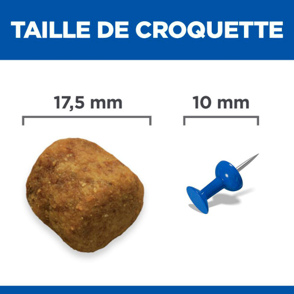 Hill's Science Plan Canine Adult 6+ Senior Vitality Large Breed - 14 kg