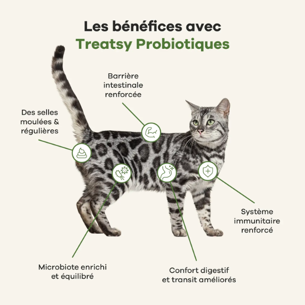 Treatsy Probiotiques pour Chat