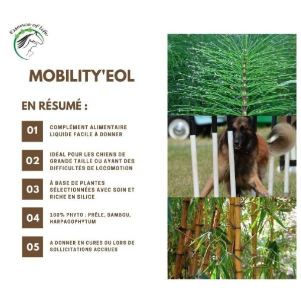 Mobility'EOL Préservation des articulations et tendons pour Chien et Chat - 150ml