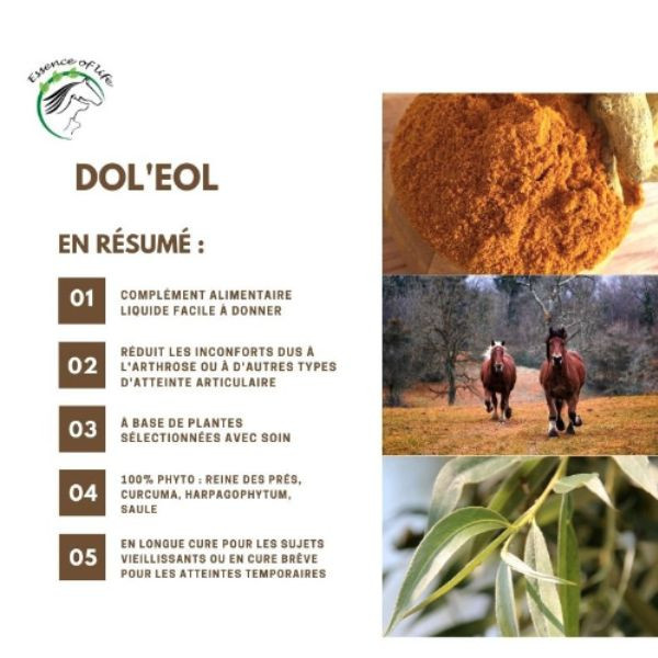 Dol'EOL Soutient et soulage la fonction locomotive