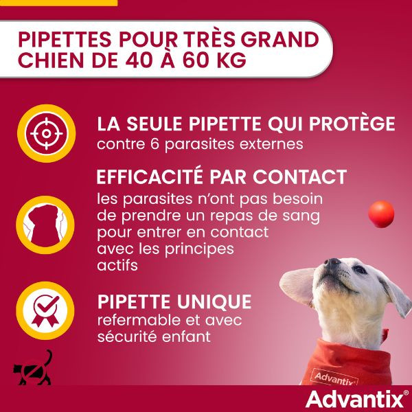 Advantix Très Grand Chien (40-60 kg)