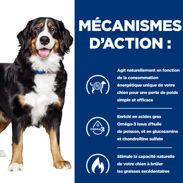 Hill's Prescription Diet Canine j/d Metabolic + Mobility - 12 x 370 gr